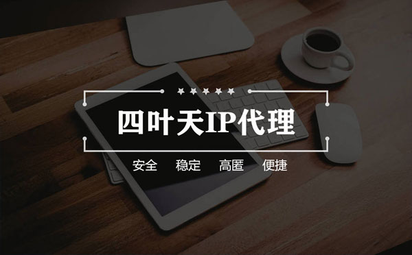 【安阳代理IP】如何快速搭建代理IP？怎么检查代理的效果？